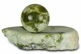 Polished Noble Serpentine Sphere with Base - Washington #341589-1